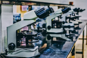 Row of microscopes on a laboratory bench.