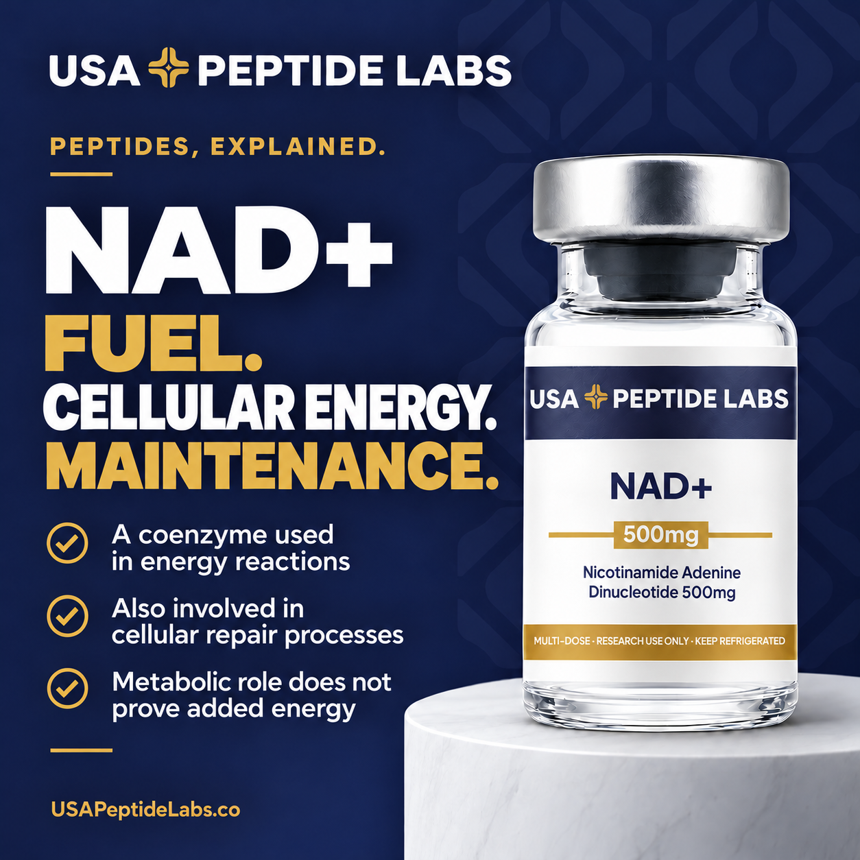 NAD+ — peptide education: mechanism and key points