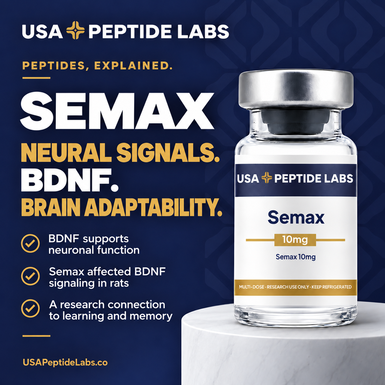 Semax — peptide education: mechanism and key points